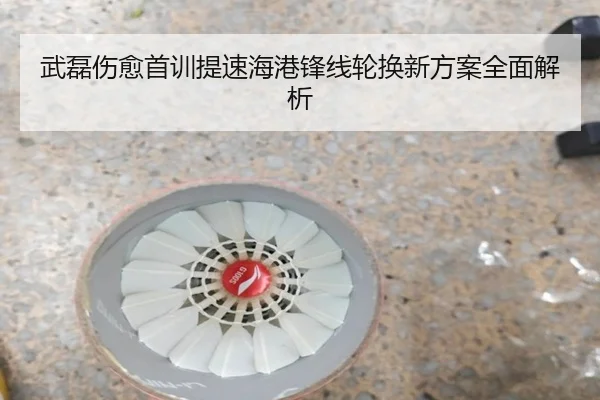 武磊伤愈首训提速海港锋线轮换新方案全面解析
